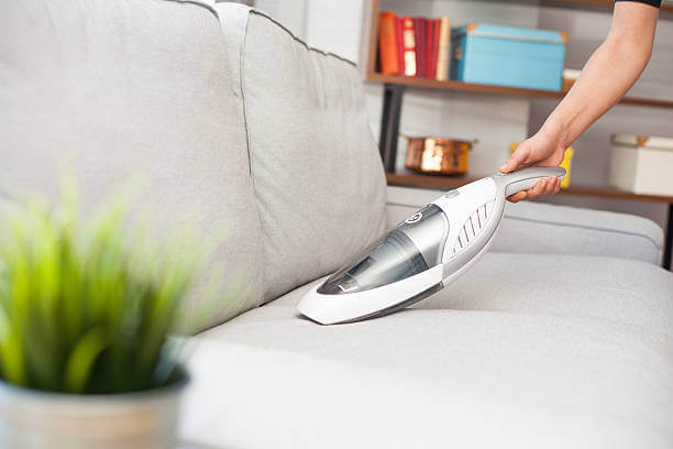 The Link between Upholstery Cleaning and Indoor Air Quality Pet hair removal from Sofa